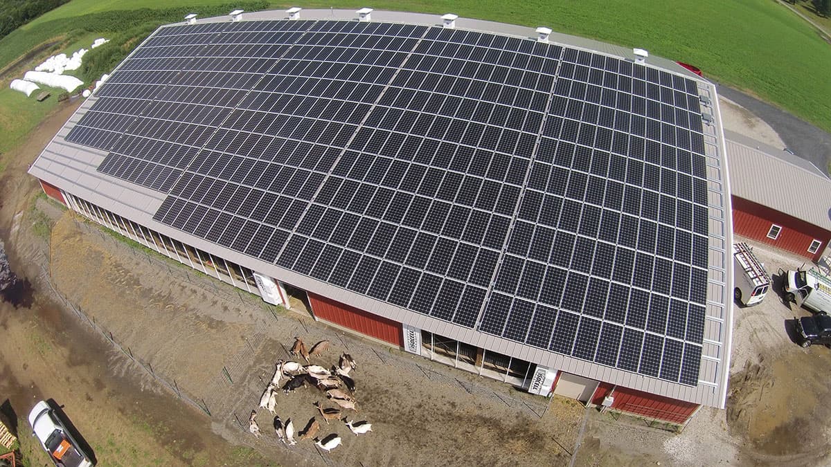 Ayers Brook Goat Dairy solar installation