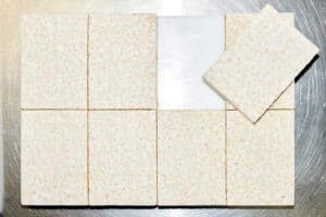 Tempeh production facility