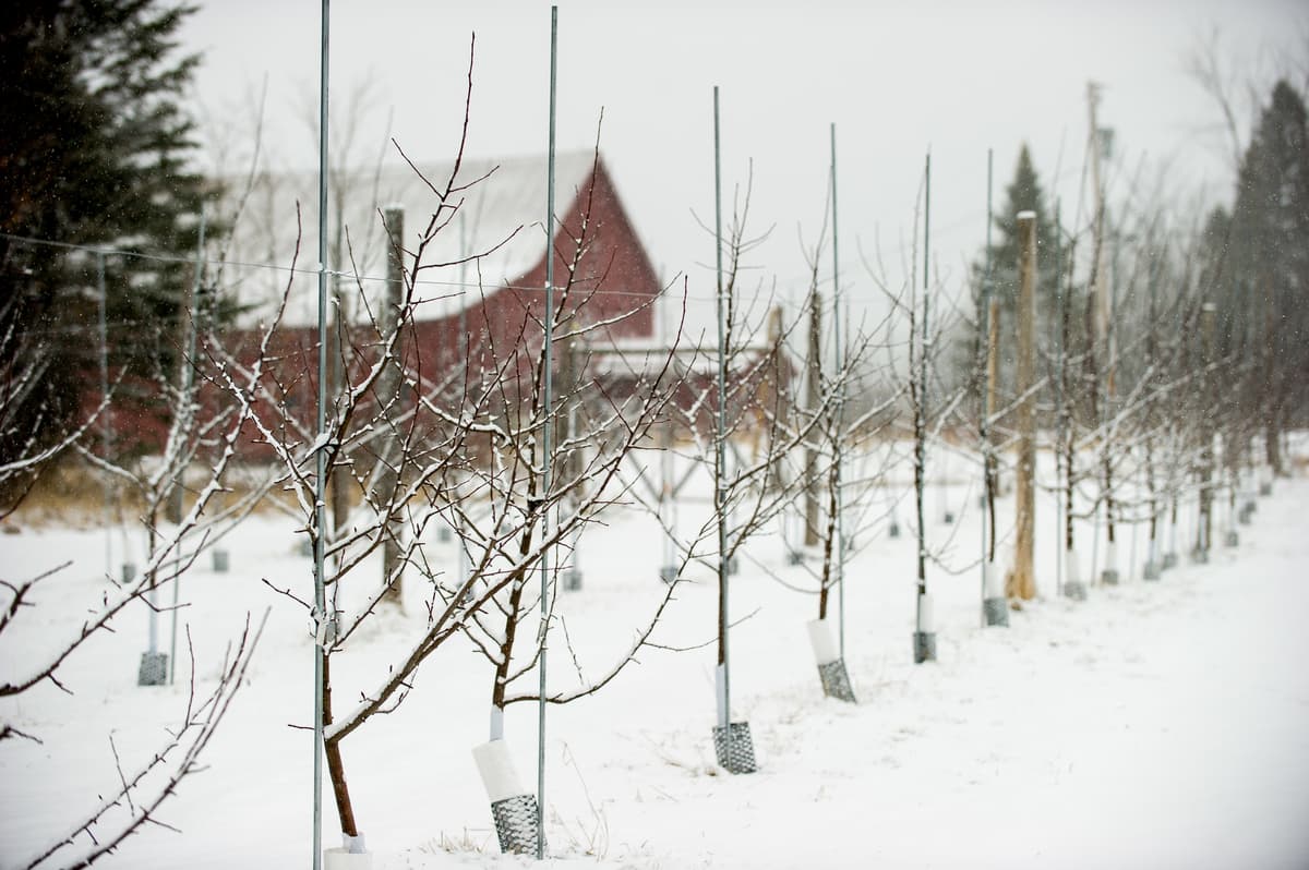 Eden Specialty Ciders photo 2