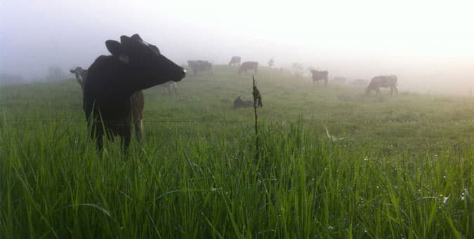 Farmers To You photo 2
